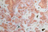 Polished Cotton Candy Agate Slab - Mexico #263869-1